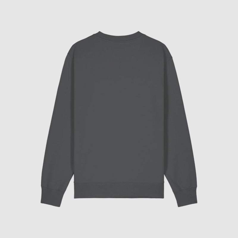 SWEAT OVERSIZE MANCHE LONGUE SAAD